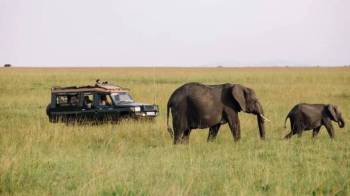 8 Days Tanzania Bush Safari Tour