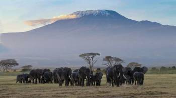 3 Day Private Game Drive In Amboseli National Park Tour