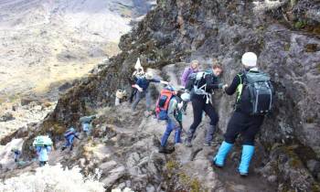 7 Days Kilimanjaro - Rongai Route Tour