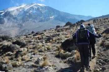 8 Days Kilimanjaro - Lemosho Route Tour