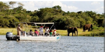 8 DAYS ITINERARY FOR RWANDA SAFARI