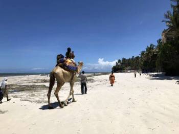 3 DAYS 2 NIGHTS MOMBASA CITY AND FORT JESUS MONUMENT