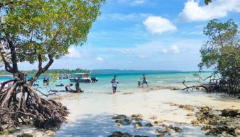 6 Nights - 7 Days Andaman Tour Package