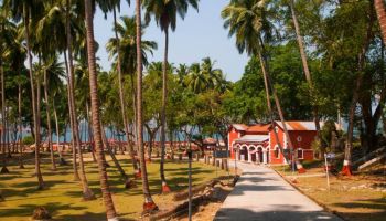 3 Night - 4 Days Port Blair - Havelock Tour