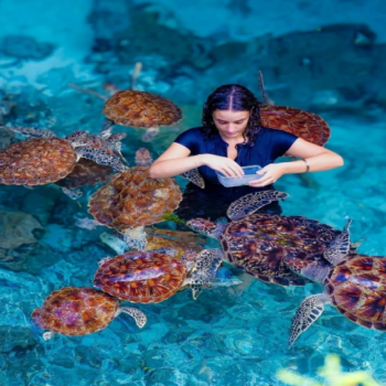 16-Days Tanzania Safari - Zanzibar Beach Holiday Tour