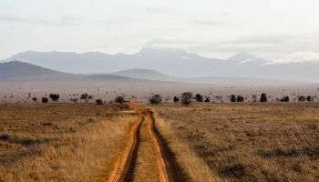 Tsavo East 1 Day Safari Tour From Beach To Beach