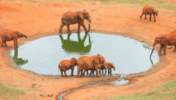 2 Days - 1 Night Nyati Adventure Tour