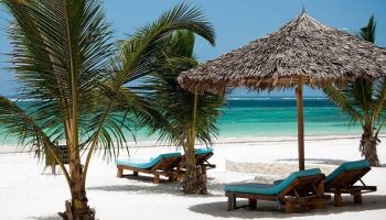 4 Days - 3 Legendary Parks - Beach To Beach Safari Tour