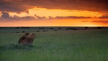 14 Days Kenya - The Big Five - The Beach Tour