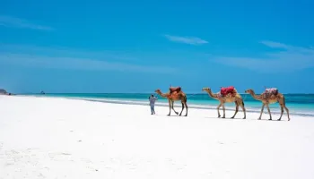 A 6-Day Holiday Extension In Mombasa Tour