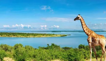 12 Days Uganda Safari - Off The Beaten Track Tour