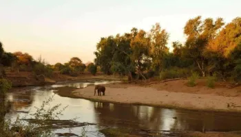 5 Days South Africa - Kruger Adventures Tour