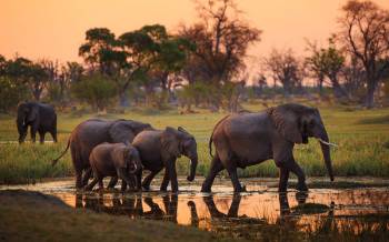 2‑Day Ruaha Safari Itinerary