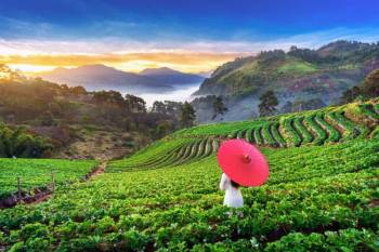 5D - 4N Vietnam Tour Package