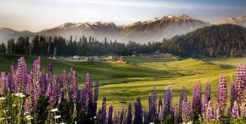 Kashmir Tour