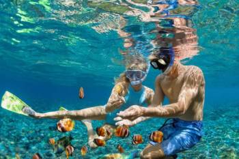 1 Day Safari Blue Tour Package