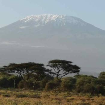 7 Days Kilimanjaro Climbing Umbwe Route Tour