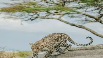 Adventure Roots Package - 9 Days