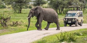 5 Days Big Five Safari