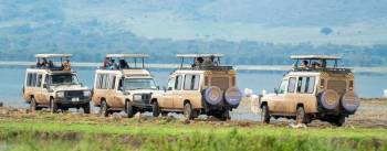 2 Day Tanzania Safari Tour From Zanzibar