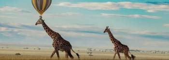 Luxury Serengeti Fly-In - Out Safari - 4 Days In Tanzania Tour