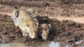 3 Days Northern Tanzania Without Serengeti Tour 3 Days Northern Tanzania Without Serengeti Tour