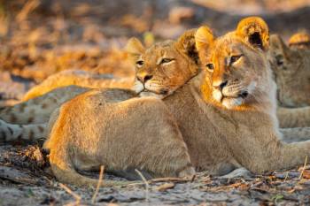 9 Nights 10 Days - Southern Tanzania Special Tour Package