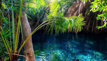 Chemka Hot Spring Day Trip