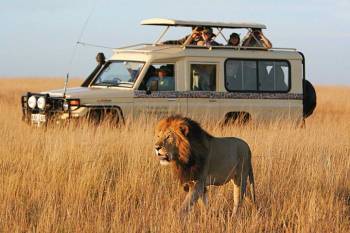 8-Day Southern Tanzania Safari Tour 8-Day Southern Tanzania Safari Tour