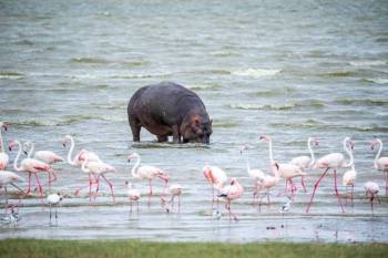 Magic Experience Tarangire - Ngorongoro - Lake Manyara Tour Magic Experience Tarangire - Ngorongoro - Lake Manyara Tour