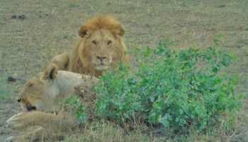 Northern Paradise Plus Tour