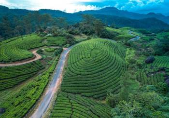 8 Night - 9 Days Kerala Tour 8 Night - 9 Days Kerala Tour