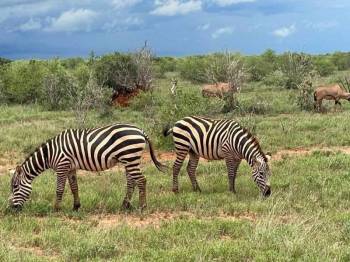 3 Nights 4 Days Maasai Mara Narok
