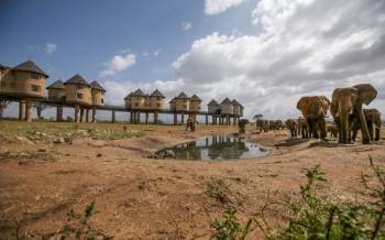 2 Days Taita Hills Saltlick African Wildlife Safari Tour From Mombasa