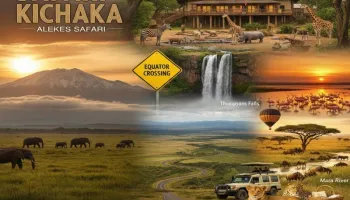 Safari Kichaka