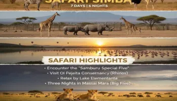 Safari Simba Tour