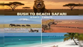 Bush to Beach Safari {B2B Safari}