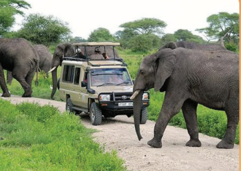 7 Days Manyara - Tarangire - Serengeti - Ngorongoro Tour