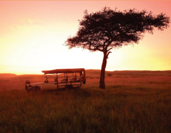 14 Night - 15 Days Kenya Adventure Safari Trip