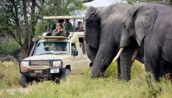 3 Days Tanzania Lodge Safari