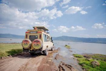 10 Days Midrange Family Safari Tour