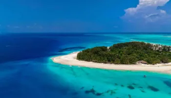 Snorkeling With Dolphin At Mnemba Island, Zanzibar