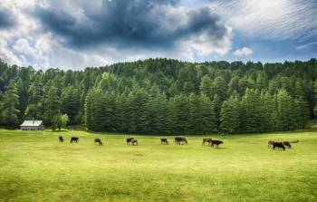 All Himachal Tour Package