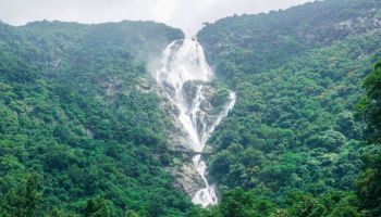 4 Nights North Goa - South Goa - Dudhsagar Package