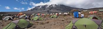 7 Days Kilimanjaro - Lemosho Route Tour 7 Days Kilimanjaro - Lemosho Route Tour