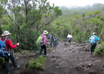 9 Days Mt. Kilimanjaro Trek Tour