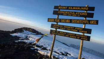 9 Days Kilimanjaro - Lemosho Route Tour