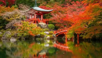 Best Of Japan 5 Nights - 6 Days Tour