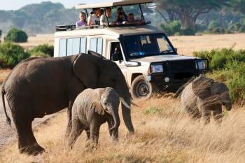 Amboseli National Park 3 Day Tour and Camping Services