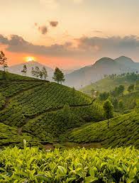 Theni & Munnar Grand Tour 3 Nights / 4 Days Theni & Munnar Grand Tour 3 Nights / 4 Days